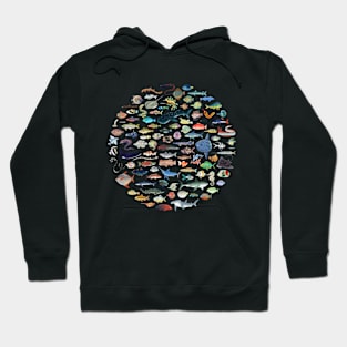 One Hundred Fish Hoodie